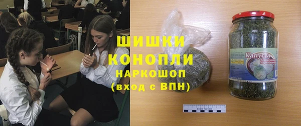 молекула духа Бронницы