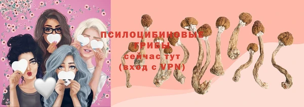 дурь Бугульма