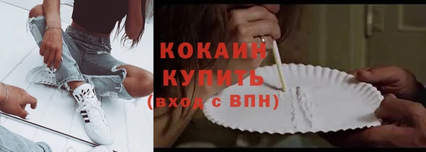 молекула духа Бронницы