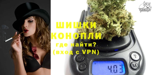 молекула духа Бронницы