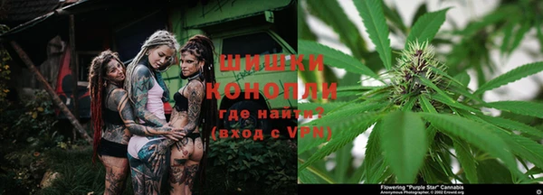 молекула духа Бронницы